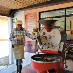 Coffee Plantations Tours - Ciudad Colon