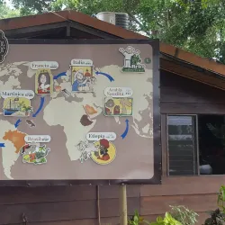 Coffee Plantations Tours - Ciudad Colon