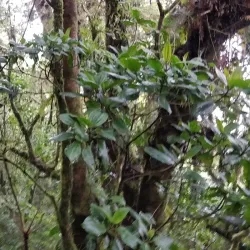 Escazú Mountain Range - Ciudad Colon