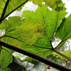 Escazú Mountain Range - Ciudad Colon