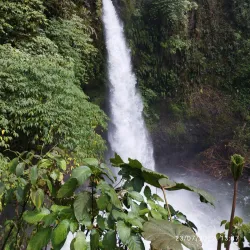 La Paz Waterfall Gardens - Ciudad Colon