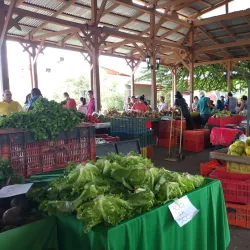 Mercado de Agricultores de Ciudad Colón - Ciudad Colon