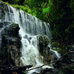 Río Tiribí - Ciudad Colon