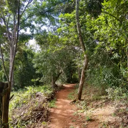 Sendero de la Catarata - Ciudad Colon