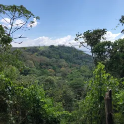 Sendero de la Catarata - Ciudad Colon