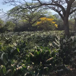 Sendero de la Catarata - Ciudad Colon
