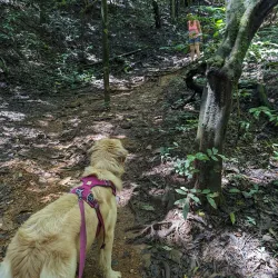 Sendero de la Catarata - Ciudad Colon