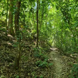 Cabo Blanco Absolute Natural Reserve - Cobano