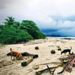 Playa Carmen - Cobano