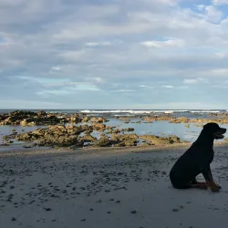 Playa Carmen - Cobano