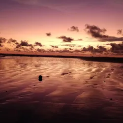 Playa Hermosa - Cobano