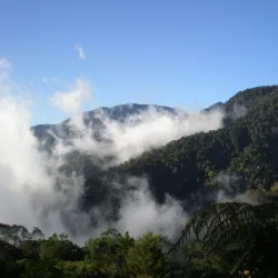 Cerro de la Muerte - Desamparados