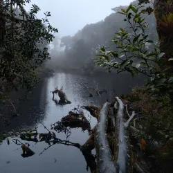 Parque Nacional Braulio Carrillo - Desamparados