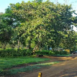 Reserva Forestal El Rodeo - Desamparados