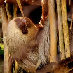 Alturas Wildlife Sanctuary - Dominical