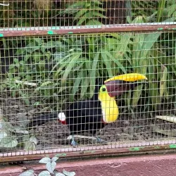 Alturas Wildlife Sanctuary - Dominical