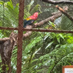 Alturas Wildlife Sanctuary - Dominical