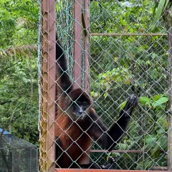 Alturas Wildlife Sanctuary - Dominical