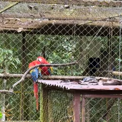 Alturas Wildlife Sanctuary - Dominical