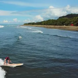 Costa Rica Surf School Dominical - Dominical