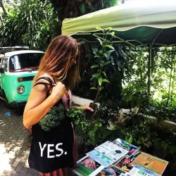 Dominical Farmers Market - Dominical