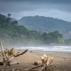 Dominicalito Beach - Dominical