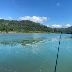 Dominicalito Beach - Dominical