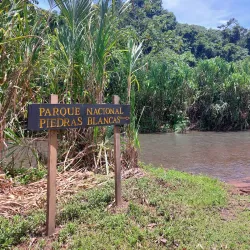 Piedras Blancas National Park - Dominical