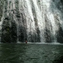 Piedras Blancas National Park - Dominical