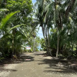 Uvita Whale Tail Beach - Dominical