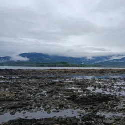 Uvita Whale Tail Beach - Dominical