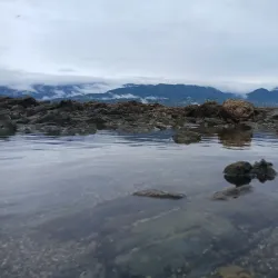 Uvita Whale Tail Beach - Dominical