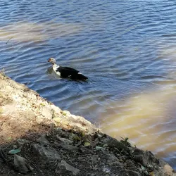 Parque de la Paz - Escazu