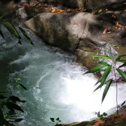 Catarata El Pavón - Esparza