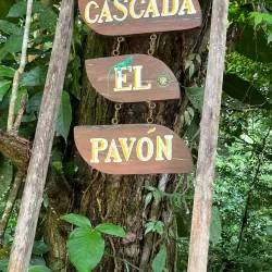 Catarata El Pavón - Esparza