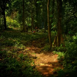 Catarata El Pavón - Esparza