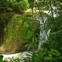 Catarata El Pavón - Esparza