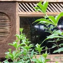 Finca La Flor - Esparza