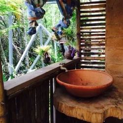 Finca La Flor - Esparza