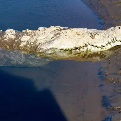 Río Grande de Tárcoles - Esparza