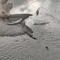 Río Grande de Tárcoles - Esparza