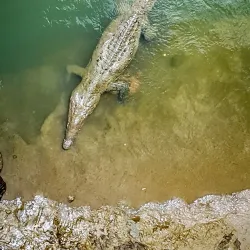 Río Grande de Tárcoles - Esparza
