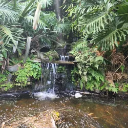 Jardín Botánico Lankester - Guadalupe