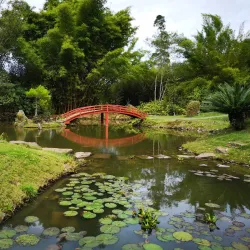 Jardín Botánico Lankester - Guadalupe