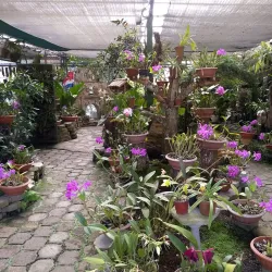 Jardín Botánico Lankester - Guadalupe