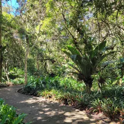 Jardín Botánico Lankester - Guadalupe