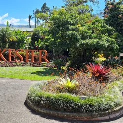 Jardín Botánico Lankester - Guadalupe