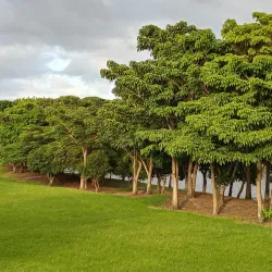 Parque de la Paz - Guadalupe