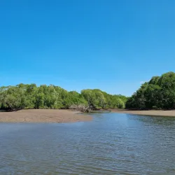 Las Baulas National Marine Park - Guanacaste