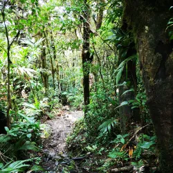 Miravalles Volcano - Guanacaste